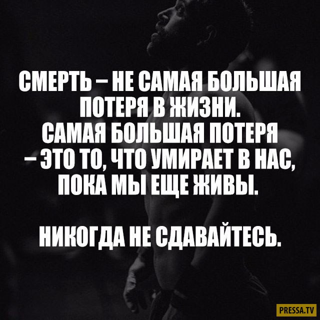 Статусы про жизнь со смыслом для ватсапа | Статусы для Ватсапа