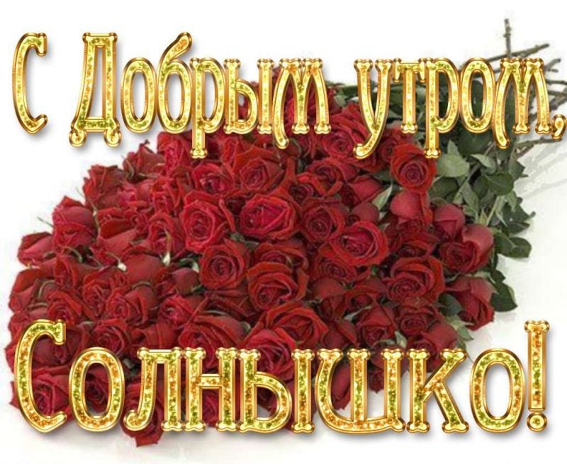 🌹ДО СЛЁЗ КАК ТРОГАТЕЛЬНО!🌹 ДОБРОЕ УТРО