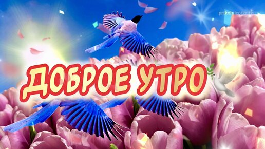 Картинки доброе утро весна красивые