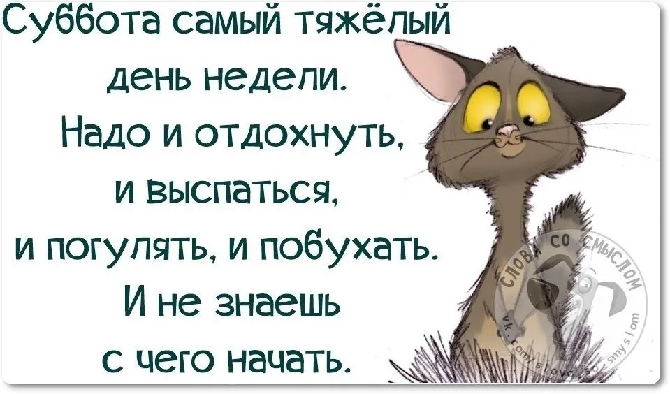 Идеи на тему «Доброе утро субботы» в 2024 г | доброе