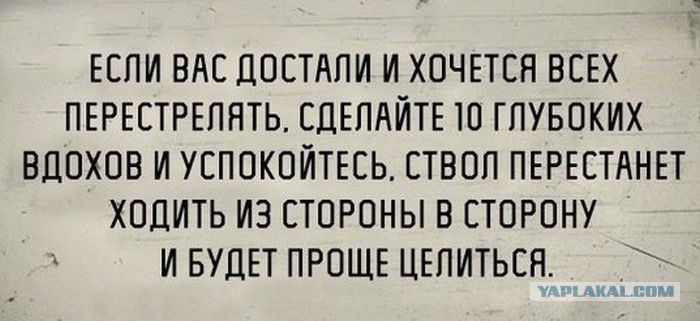 Смешные высказывания знаменитостей | Прикол.ру