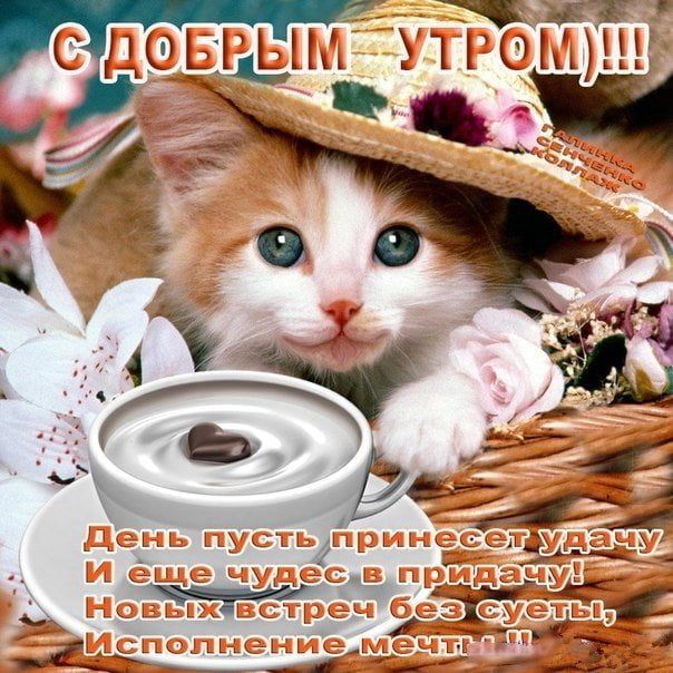 С Добрым Утром! Прекрасного Нового Дня! Классная Супер