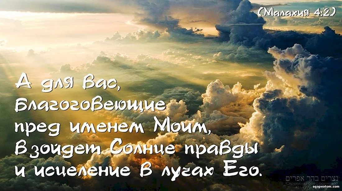 Идеи на тему «Поддержка в трудную минуту» | мудрые