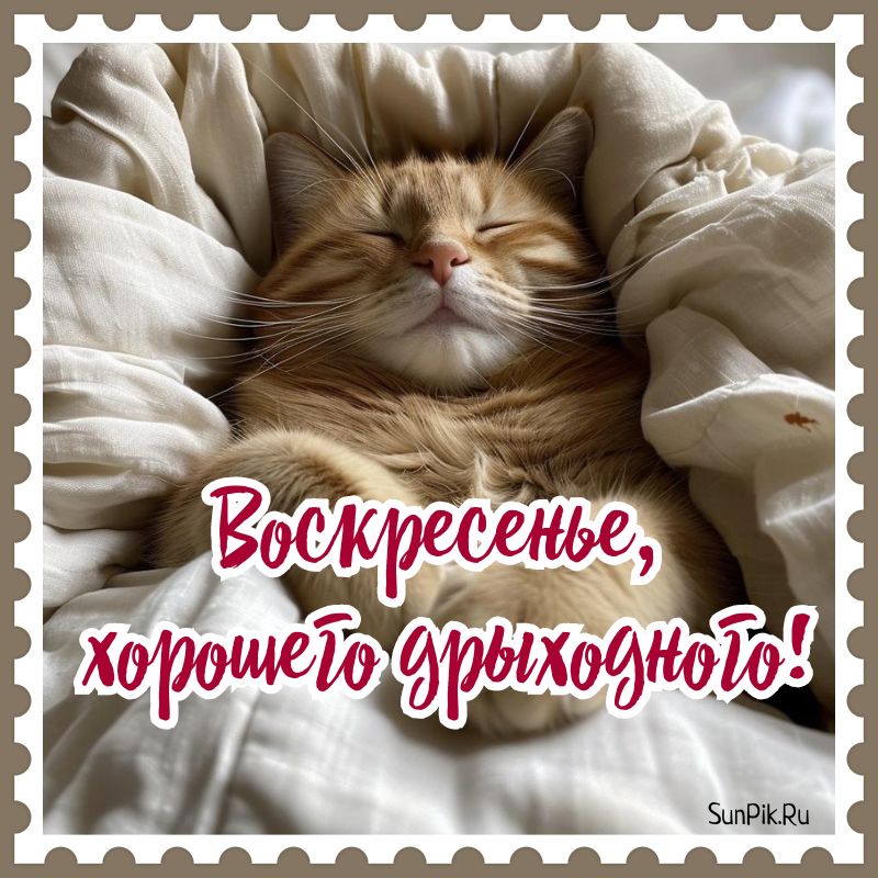 Good morning! | Тонкий юмор | VK