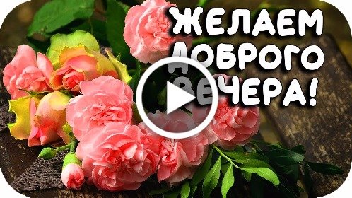 Добрый вечер поющая открытка Позитивная анимация желаю