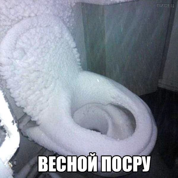 Весёлые зимние истории 