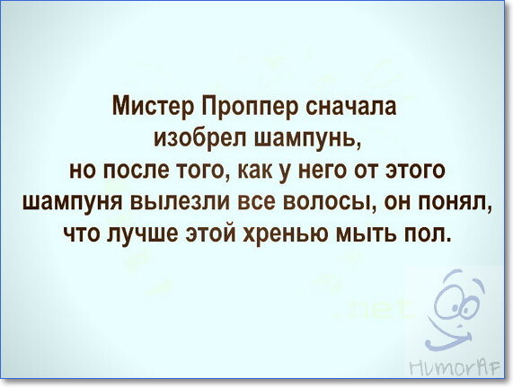 Холст «Смешной кот с сумкой, прикольная надпись пословица