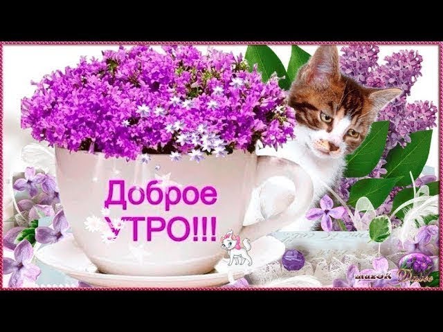 Короткие стихи