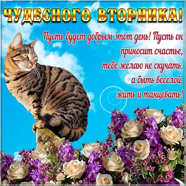 С добрым утром!