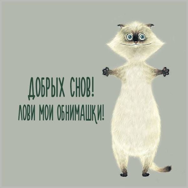 Прикольный прикол спокойной ночи