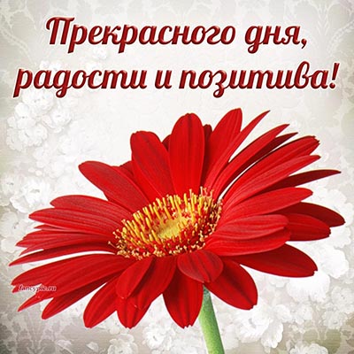 💌☀️😄 Картинки Хорошего дня