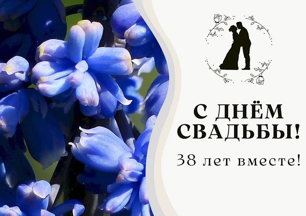 картинки с салютом на 38 лет свадьбы