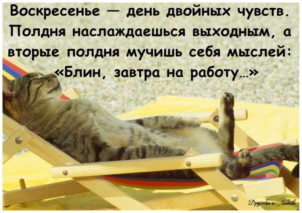 Фотоприколы » uCrazy.org