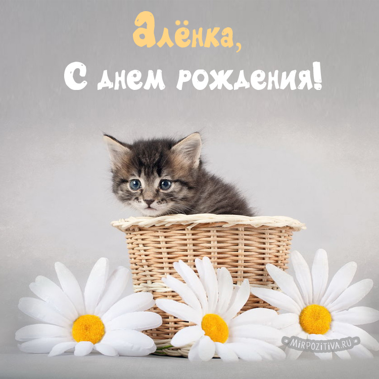 Алена, поздравляю с Днём рождения! Мерцающая открытка GIF с