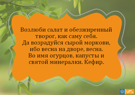 Лучшие цитаты о кошках: открытки и прикольные картинки со