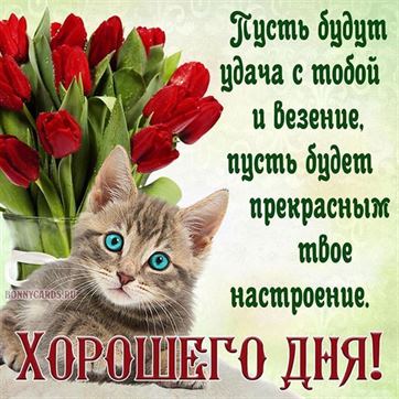 💌☀️😄 Картинки Хорошего дня