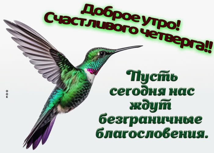 Открытки доброе утро четверг с добрым утром четверг наступил