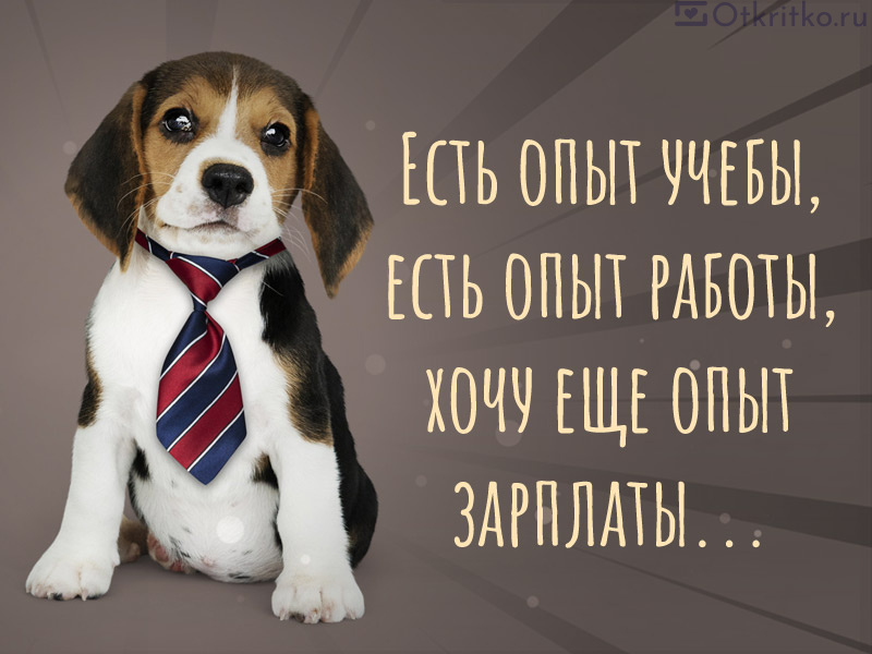 Завтра на работу картинки прикольные смешные с надписью