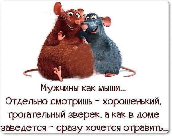 Веселые высказывания в картинках