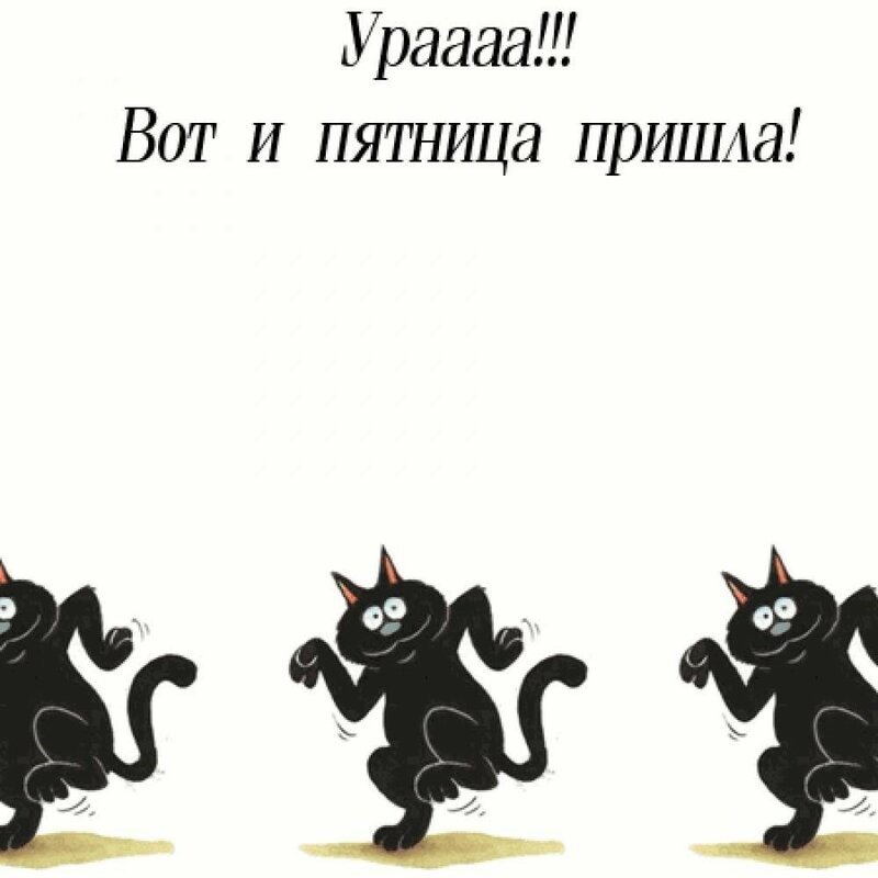 Доброе утро пятницы картинки прикольные смешные