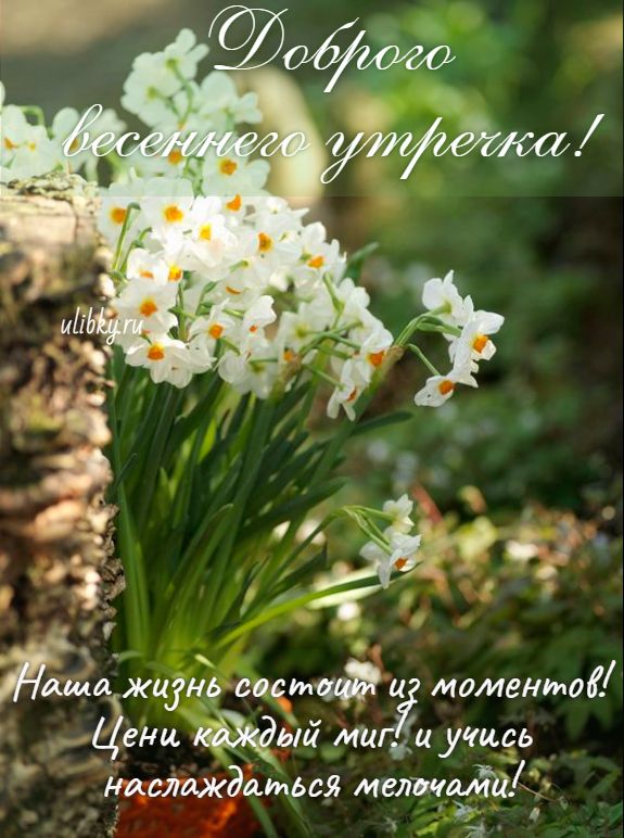 🌞🌼☕Самого доброго весеннего утра!💗Благословенного дня