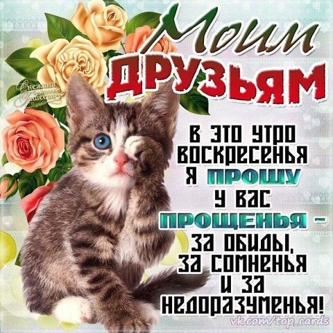 шутки #юмор #позитив #ржака #смехсквозьслезы #правдажизни