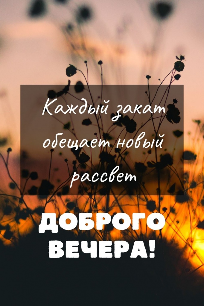 💜Красивое Пожелание Доброго Вечера! Открытки с Добрым