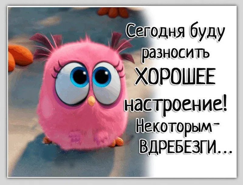 📌 #173 #ПроЖизнь #СоСмыслом #Статусы #Цитаты #Картинки #Фото