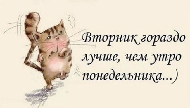 Доброе утро Вторника: прикольные картинки с надписями