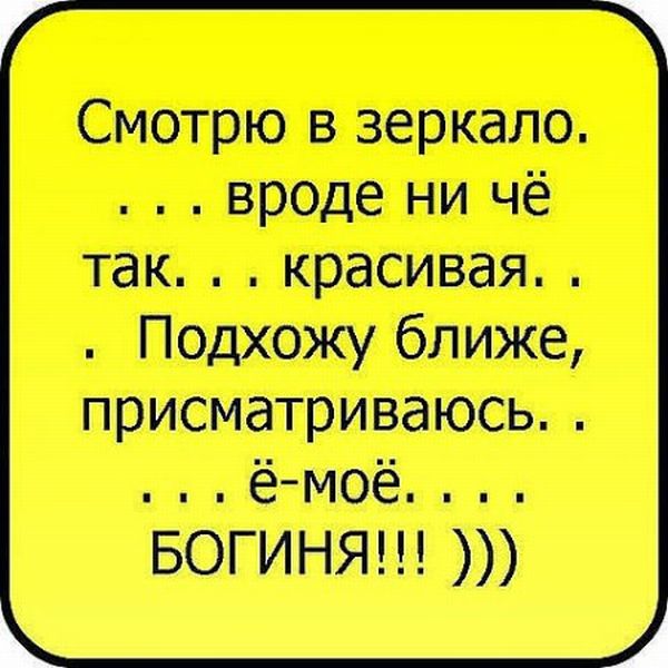 Смешные фразы и цитаты