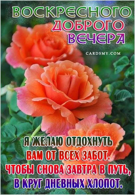 Приятного Вам Вечера!!!