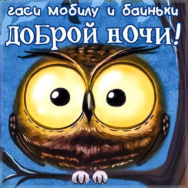 спокойной ночи картинки прикольные: 2 тыс изображений найдено