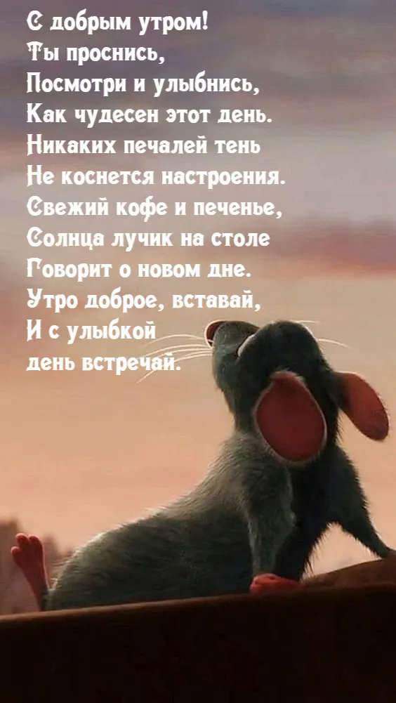 Юмор каждый день