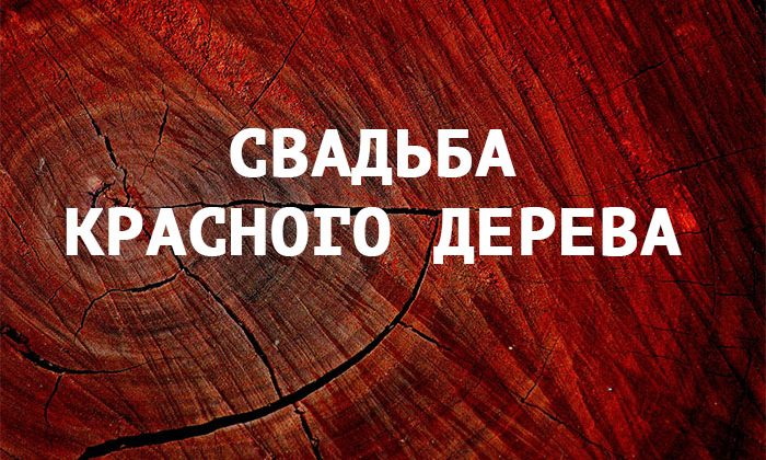 Сильвестр Сталлоне поделился фото в честь 27