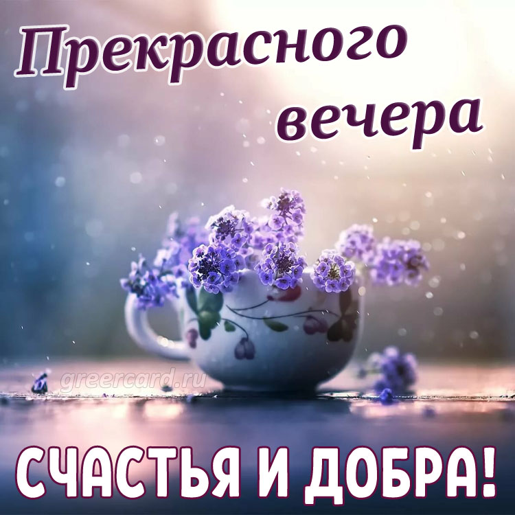 💜Красивое Пожелание Доброго Вечера! Открытки с Добрым