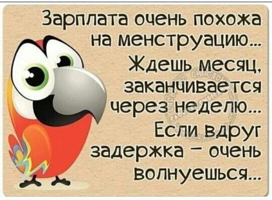 Скачать Видеоролик Прикольный С Воскресным Утром Не Хочу Идти