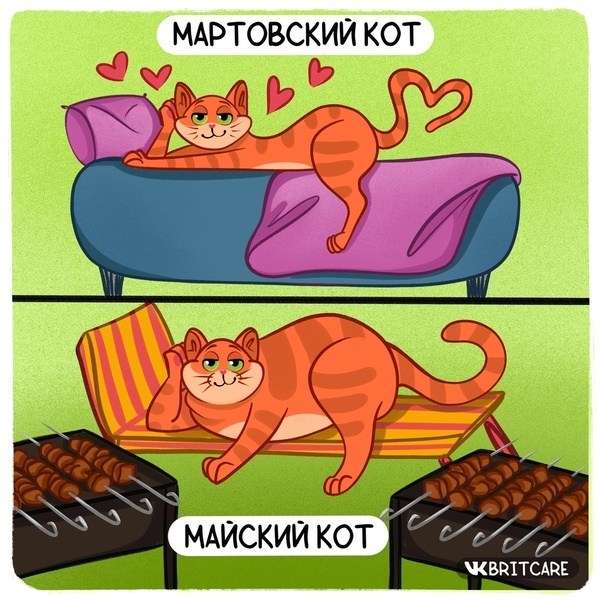 Мартовский кот. — обсуждение в группе 