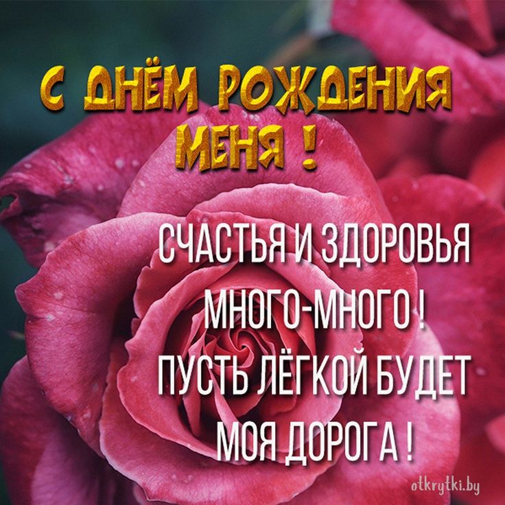 У меня День Рождения