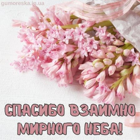 взаимно