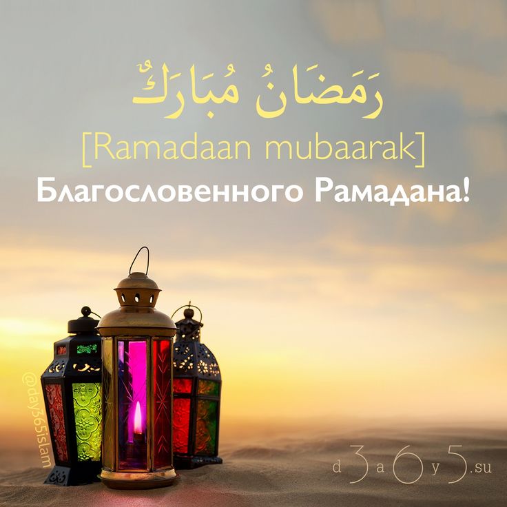 Фестиваль в честь Рамадана | islam.ru