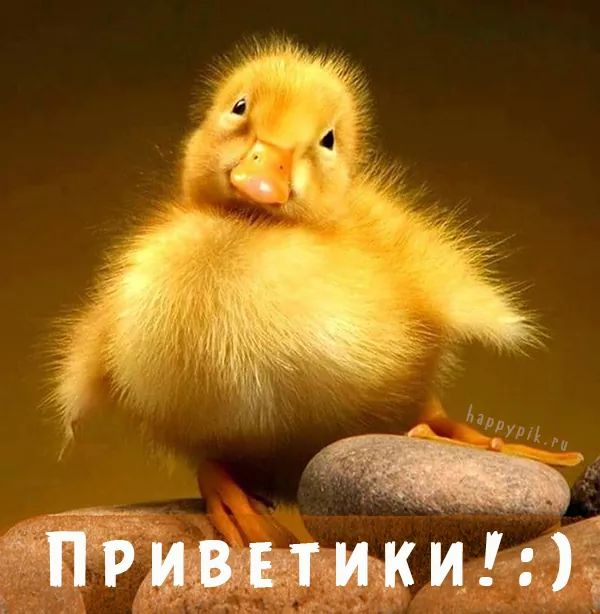 Сюжетно