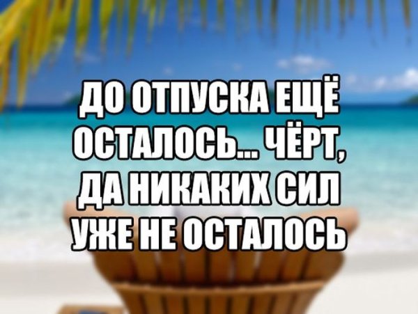 Бенто торты с надписью на заказ в Москве с доставкой на дом