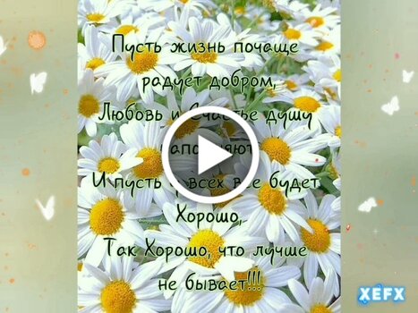 Видеооткрытка Доброе Утро! Храни Вас Бог!