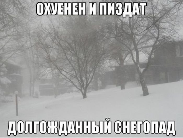 Главные события недели: энергетики приравняли к алкоголю