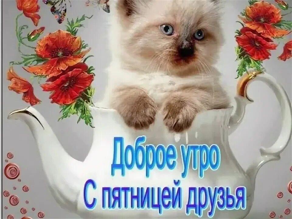 С ПЯТНИЦЕЙ 💃 короткие ПОЗДРАВЛЕНИЯ