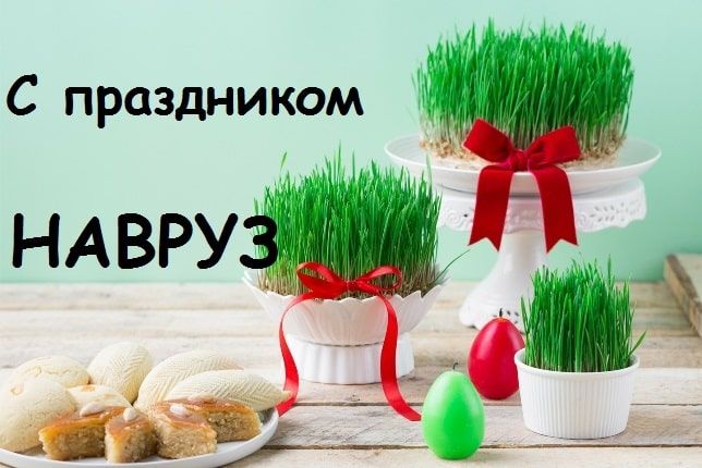 Открытка на наурыз коллегам