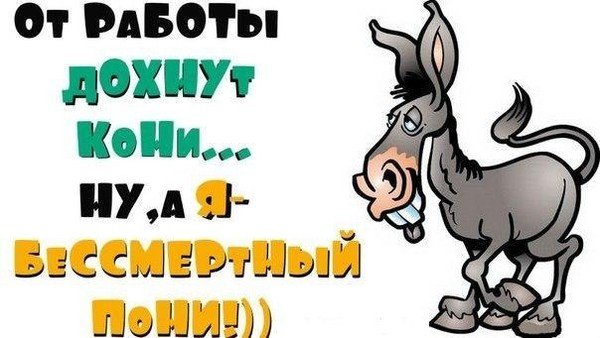 Рюкзак «Серый кот устал работать. От работы дохнут кони, ну а