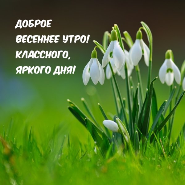 Красочная природа весенний фон, весна, красочная природа