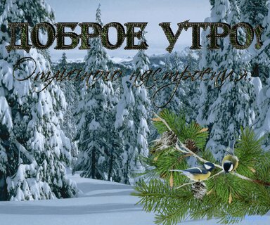 Доброе зимнее утро! Улыбнитесь новому дню!Хорошего дня и