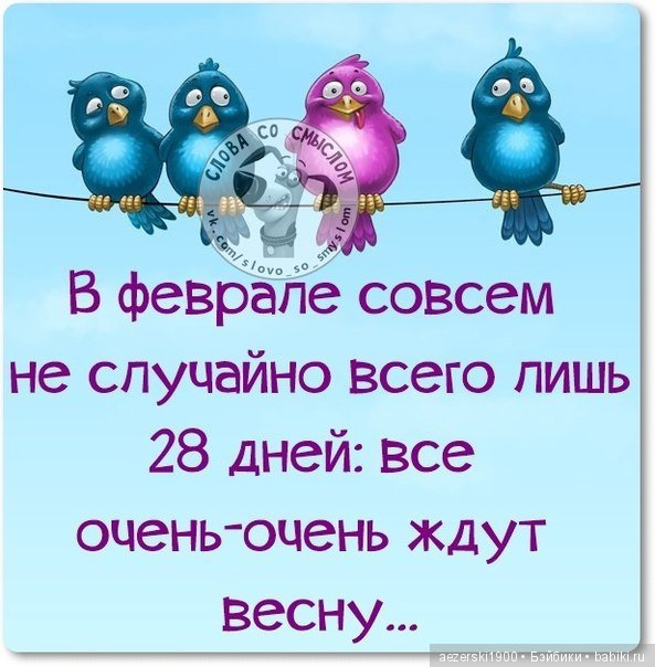 Прикольные афоризмы на все случаи жизни | Жизнь в стиле Ноль